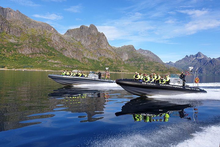 Safari aux aigles de mer et Trollfjord – Joh. E. Paulsens gate 12B, 8300 Svolvær, Norvège (photo 2)