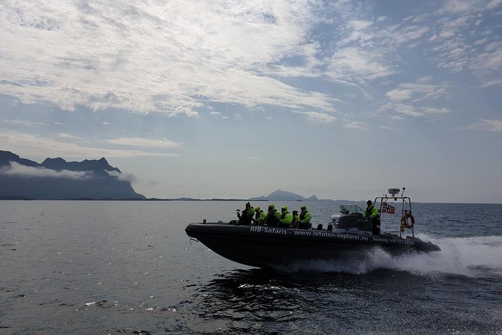 Safari aux aigles de mer et Trollfjord – Joh. E. Paulsens gate 12B, 8300 Svolvær, Norvège (photo 3)
