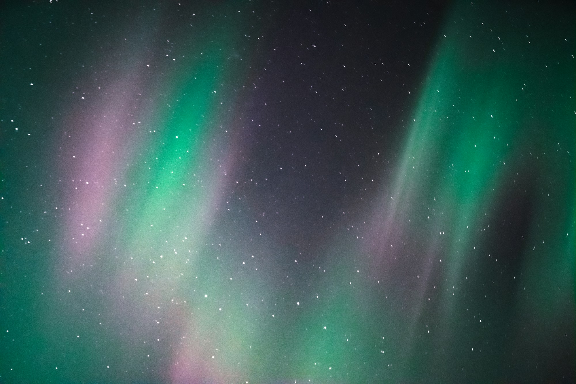 Green and pink northern lights over the night sky of Alberta, Canada