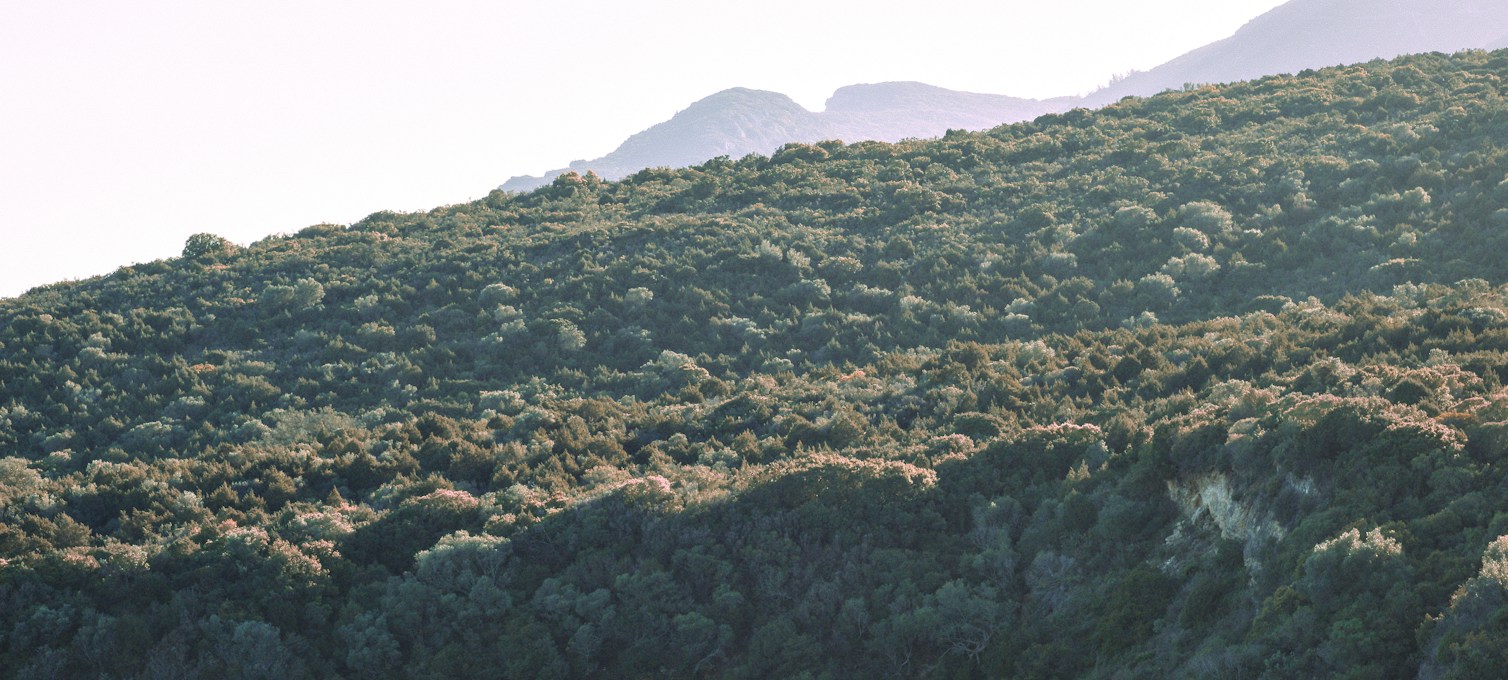 Arrábida cliffs facing the sea
