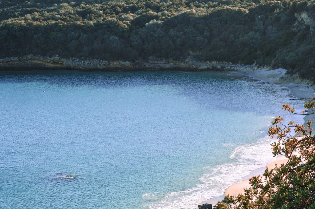 Crique turquoise de la côte de l'Arrábida, bordée de pins
