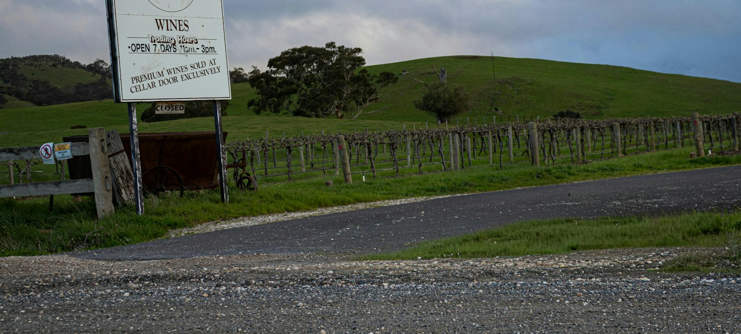 Rangées de vignes dans la vallée de la Barossa
