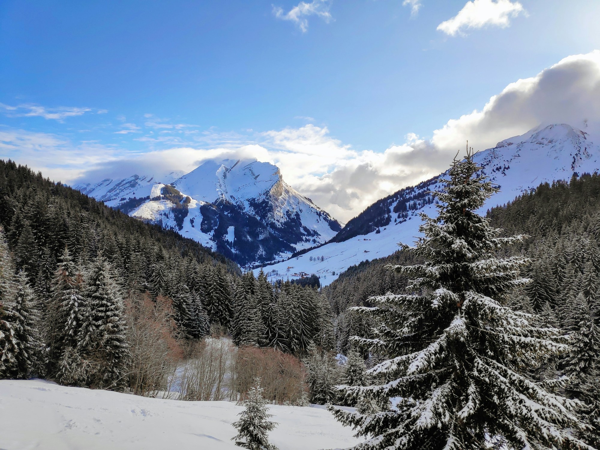 Paysage d'hiver enneigé près de La Clusaz, en Haute-Savoie