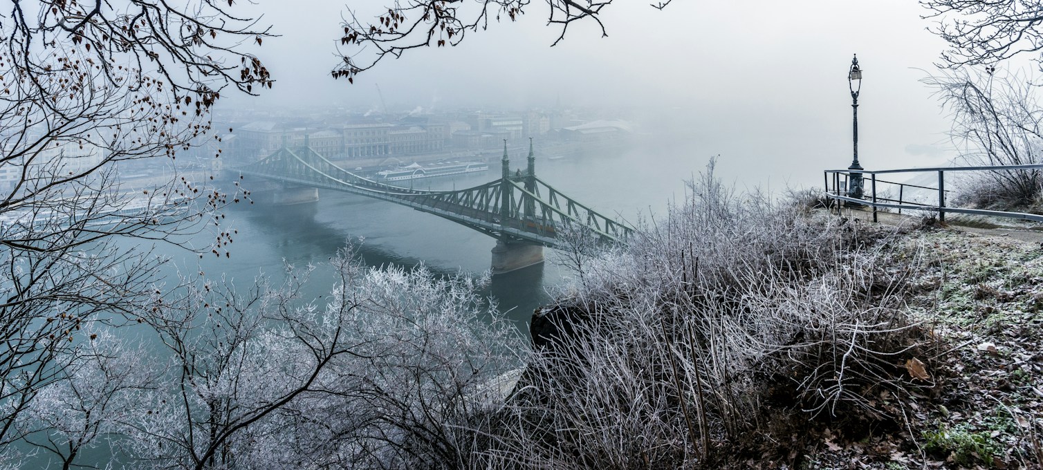Liberty Bridge under frost, on the Danube in Budapest