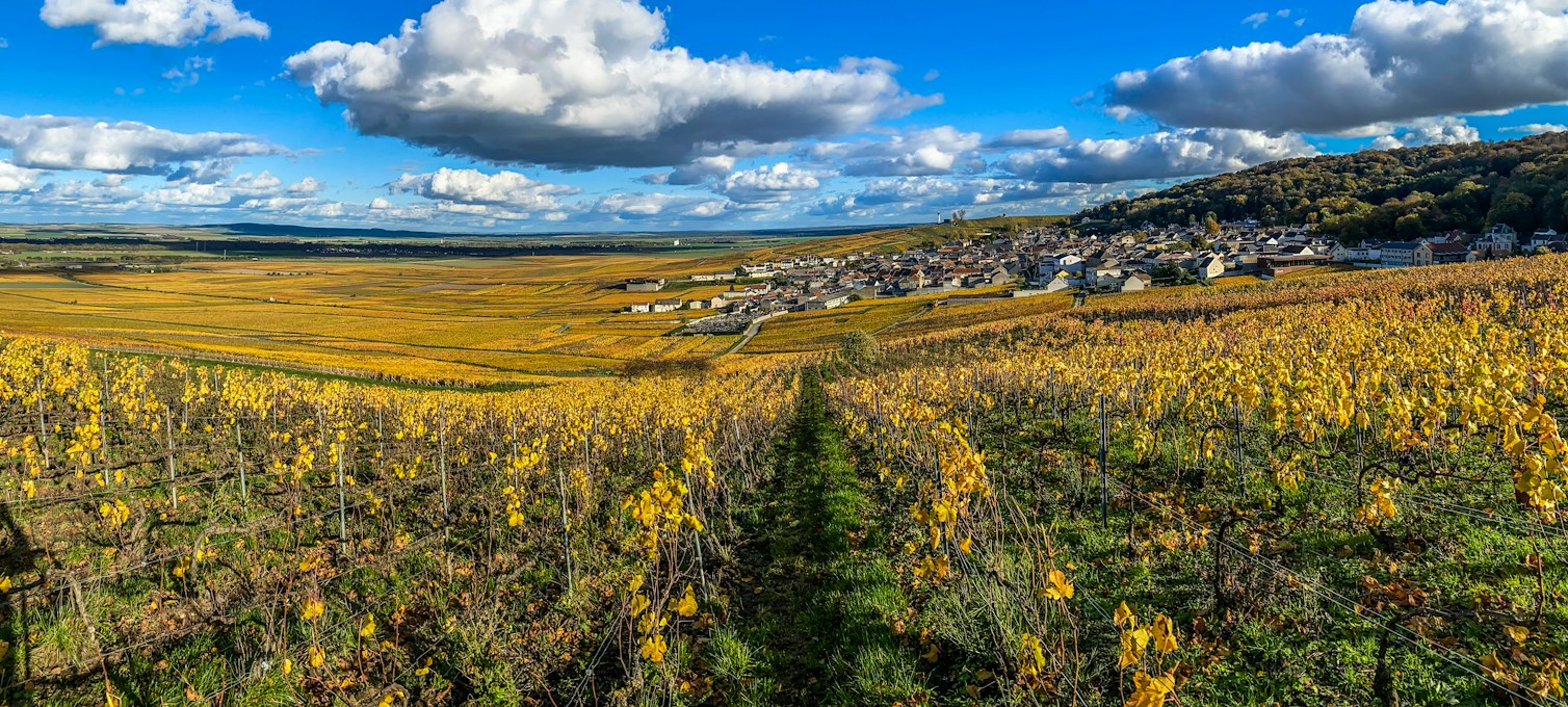 Champagne vineyard slopes in autumn