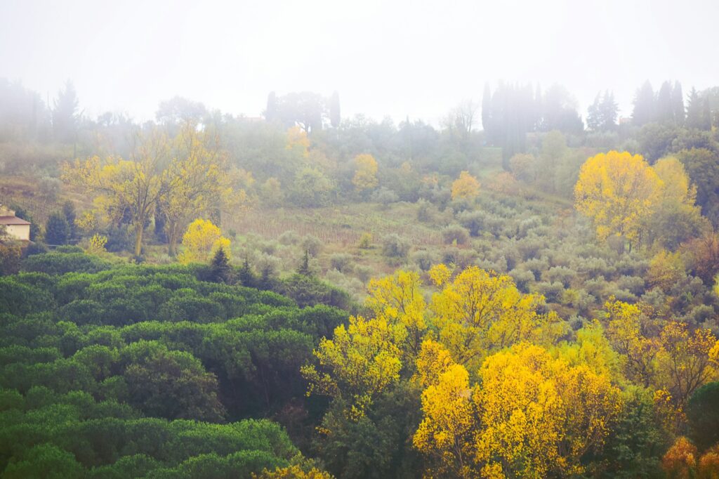 Collines toscanes aux couleurs d'automne sous un ciel brumeux