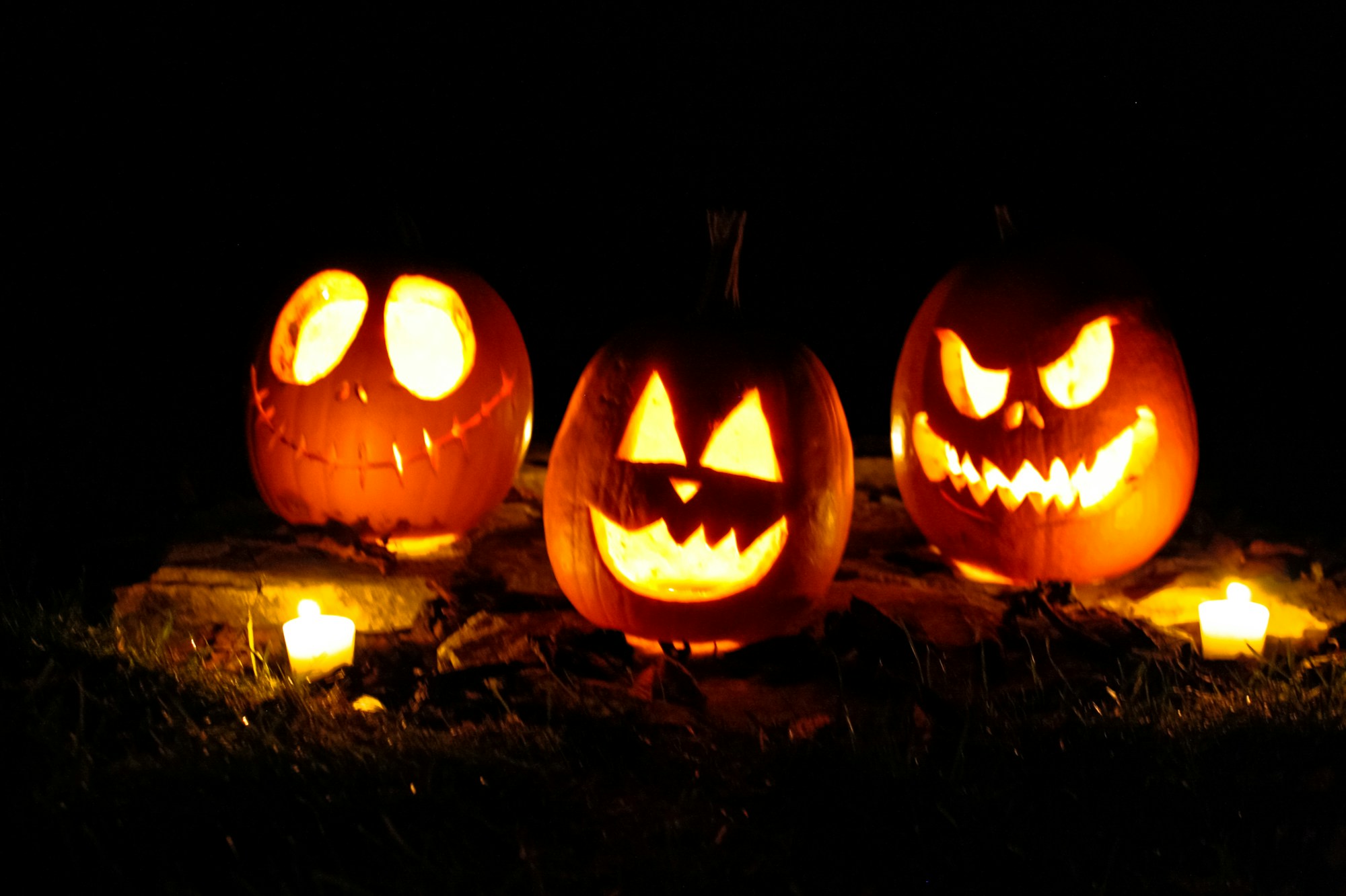 Zucca intagliata posata su foglie secche