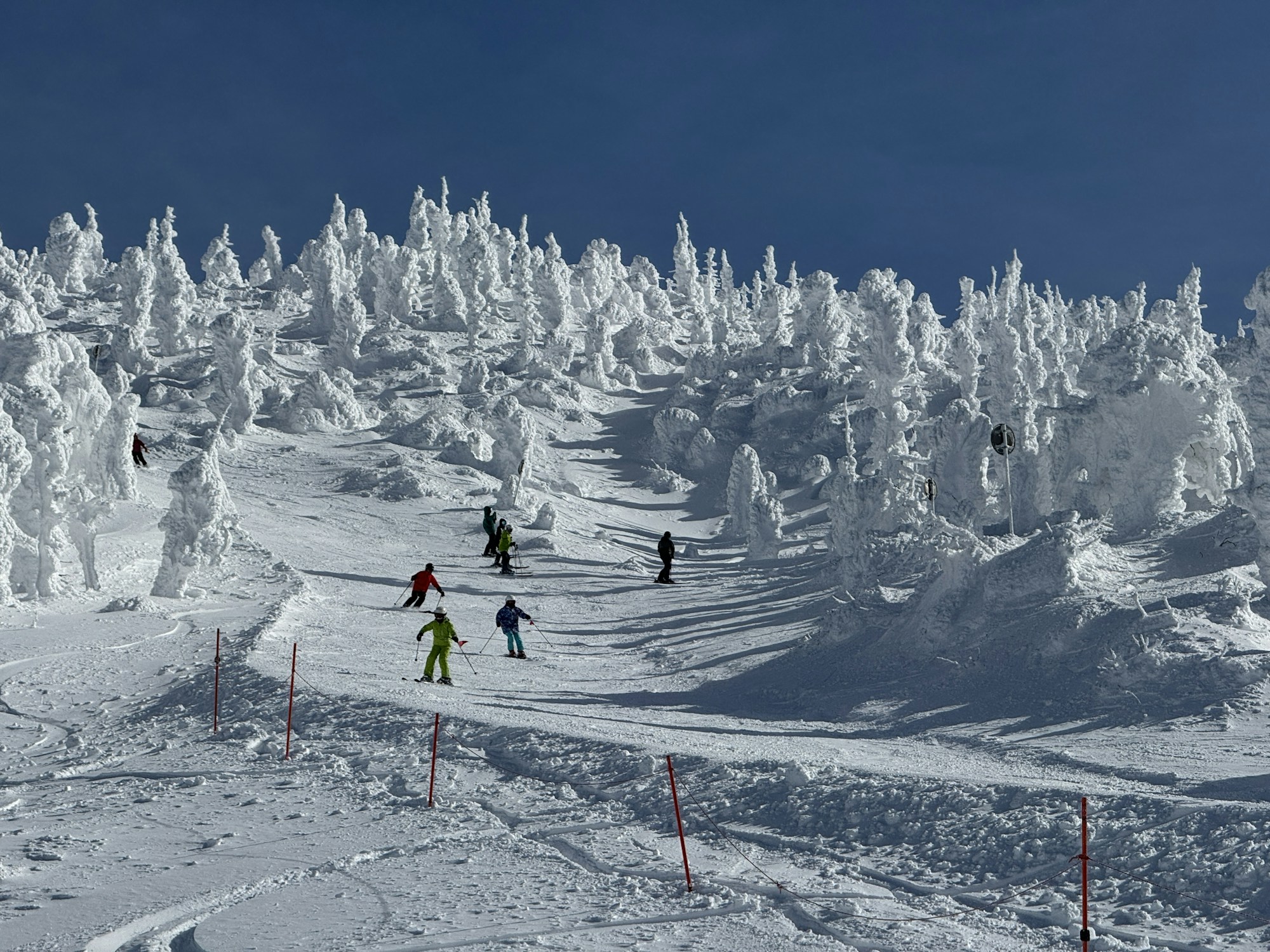 Skiers racing down a snow-covered mountain