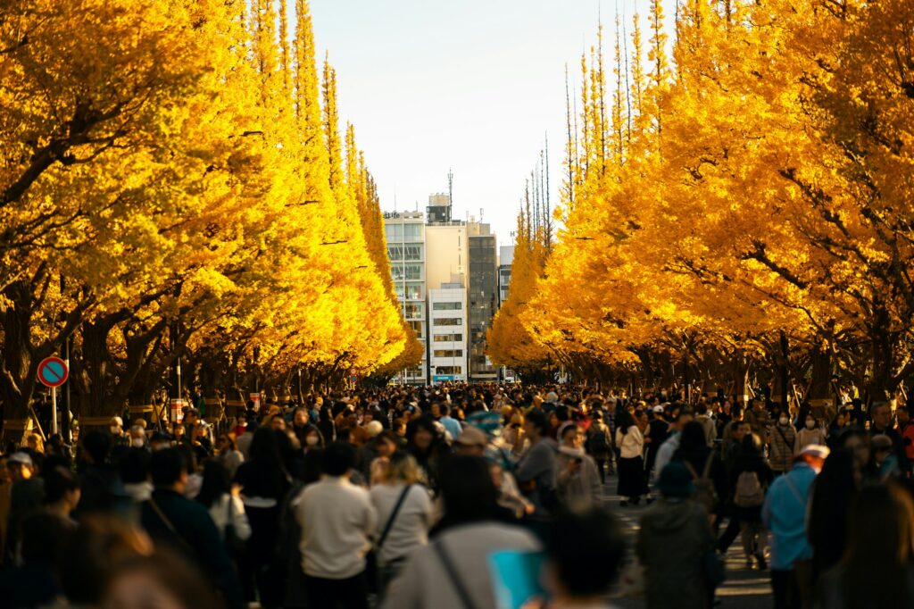 Avenue de ginkgos jaunes en automne à Tokyo