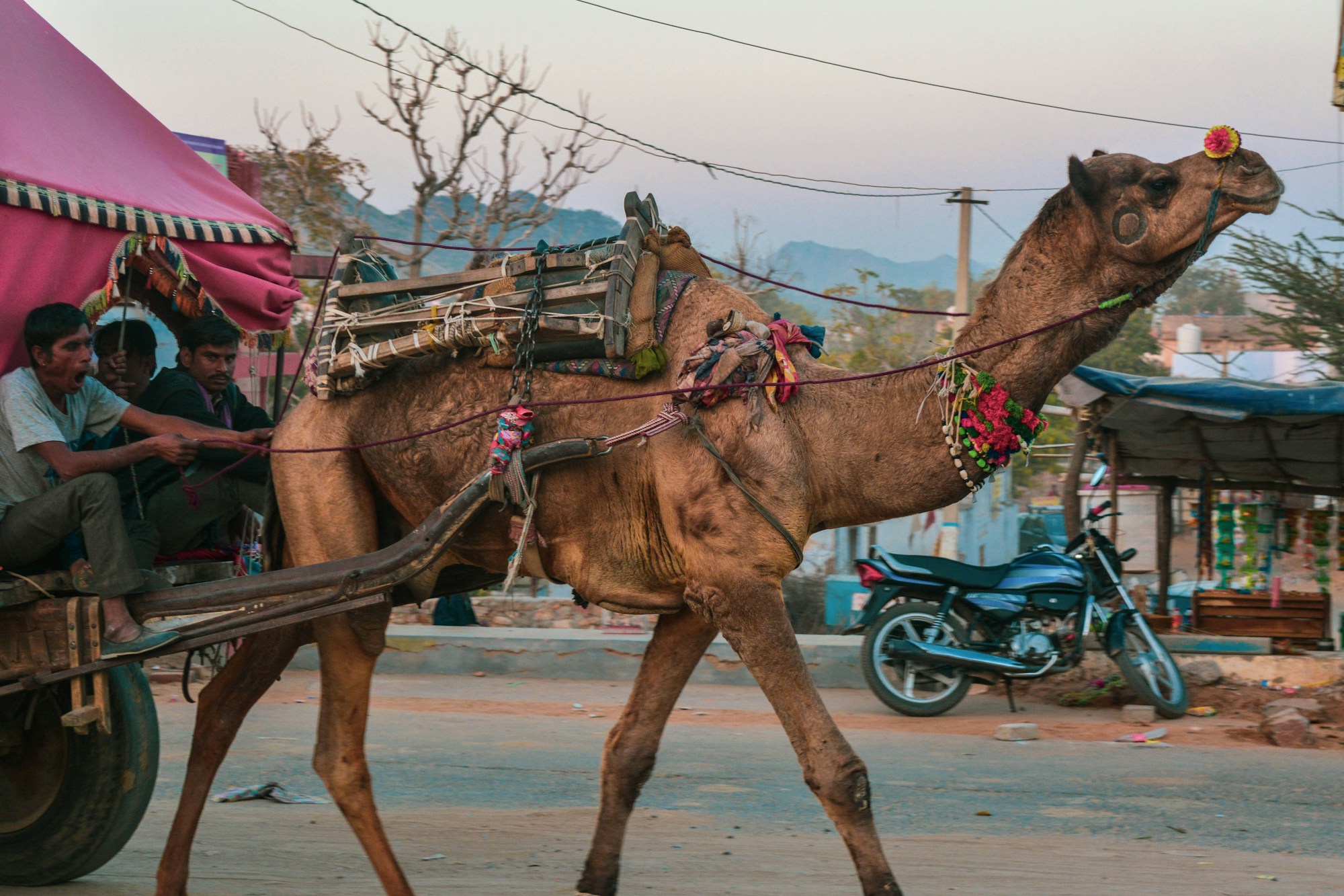 Tende e visitatori sul campo della fiera di Pushkar
