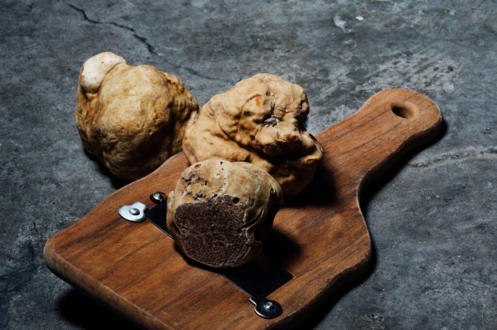 Truffes blanches d'Alba sur un marché