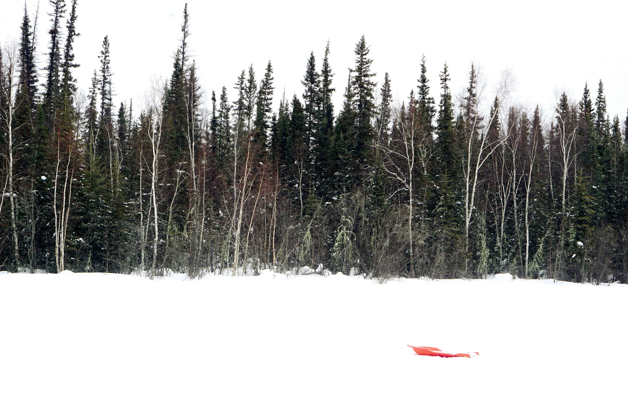 Snow-covered boreal forest near Behchokò, Northwest Territories, under a winter sky