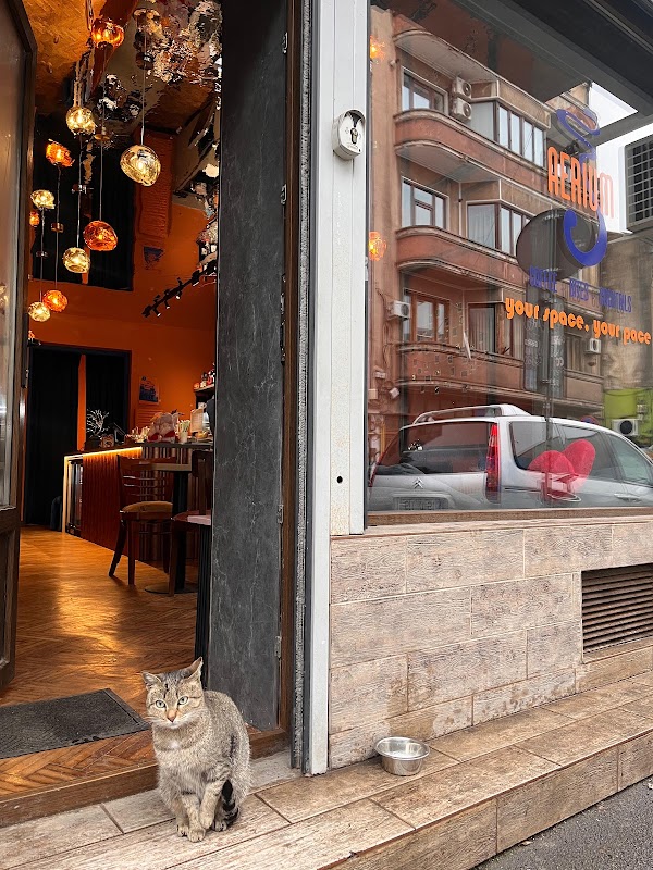 Aerium Coffee Shop – Strada Colței 42, 030167 București, Roumanie (photo 1)