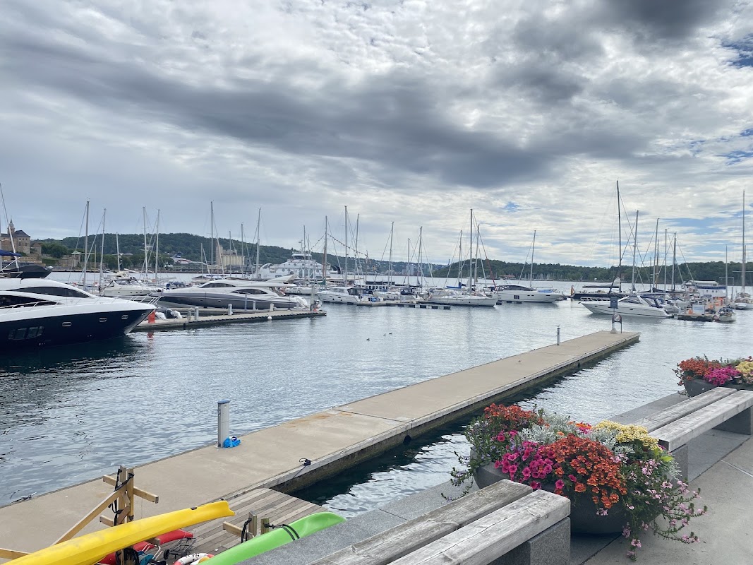 Aker Brygge : promenade au bord du fjord – Aker Brygge, Oslo, Norvège (photo 1)