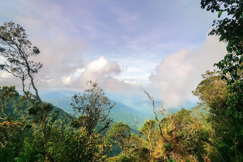 Balade à Tanah Rata – Tanah Rata, Cameron Highlands, Malaisie (photo 2)