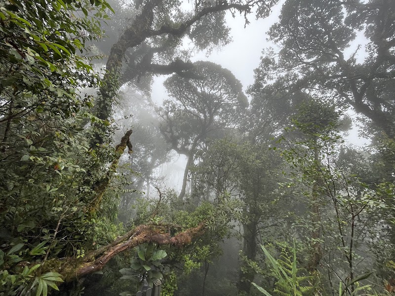 Balade à Tanah Rata – Tanah Rata, Cameron Highlands, Malaisie (photo 3)