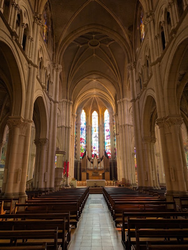Basilique Saint-François-de-Sales – 65B Grande Rue, 74200 Thonon-les-Bains, France (photo 3)