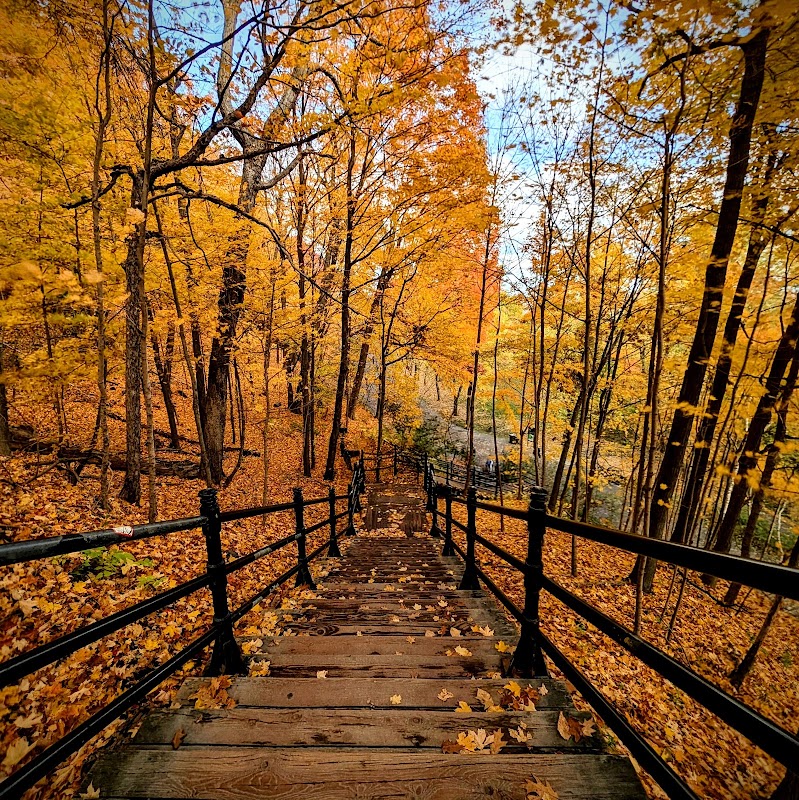 Belvédère Kondiaronk du Mont-Royal – Belvédère Kondiaronk, parc du Mont-Royal, Montréal, QC, Canada (photo 3)