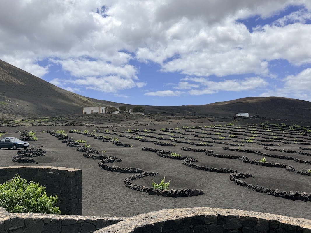 Bodegas La Geria – LZ-30, La Geria, Uga, Yaiza, Lanzarote (photo 1)