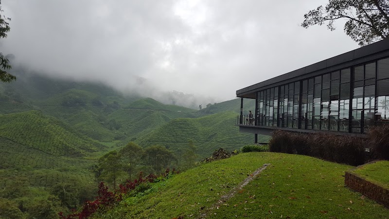 Centre de thé BOH Sungei Palas – Sungai Palas, 39100 Brinchang, Malaisie (photo 2)
