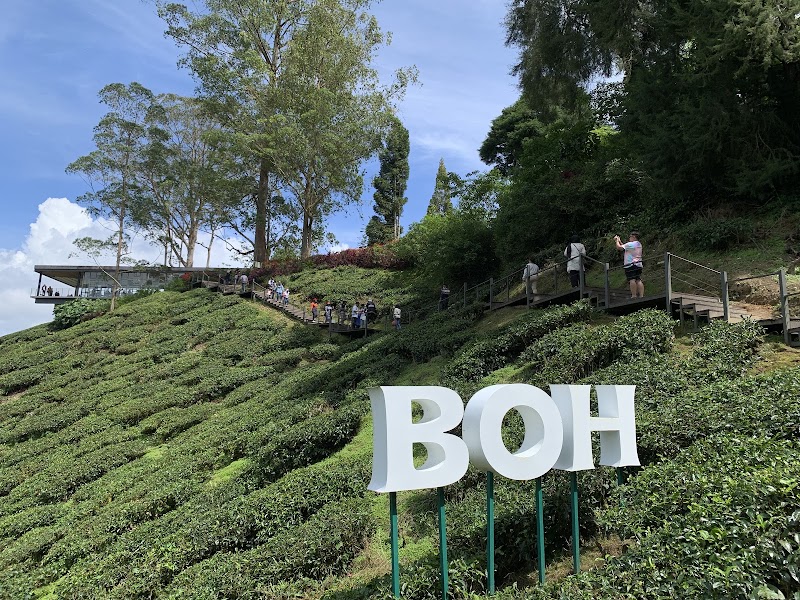 Centre de thé BOH Sungei Palas – Sungai Palas, 39100 Brinchang, Malaisie (photo 3)