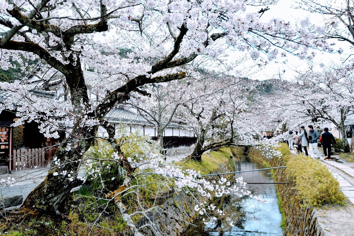 Chemin du Philosophe – Tetsugaku No Michi, Sakyo Ward, Kyoto, Japan (photo 1)