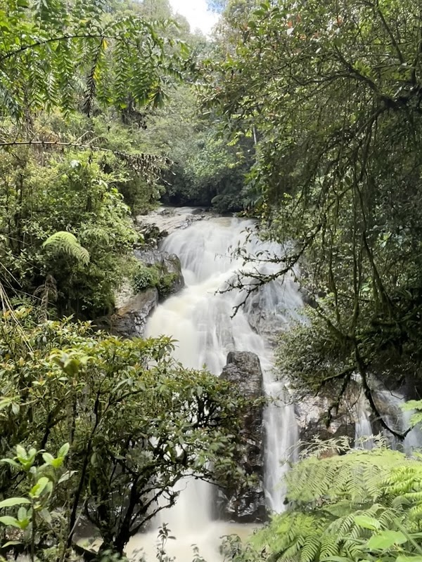 Chutes de Robinson – Tanah Rata, 39000 Tanah Rata, Pahang, Malaysia (photo 1)