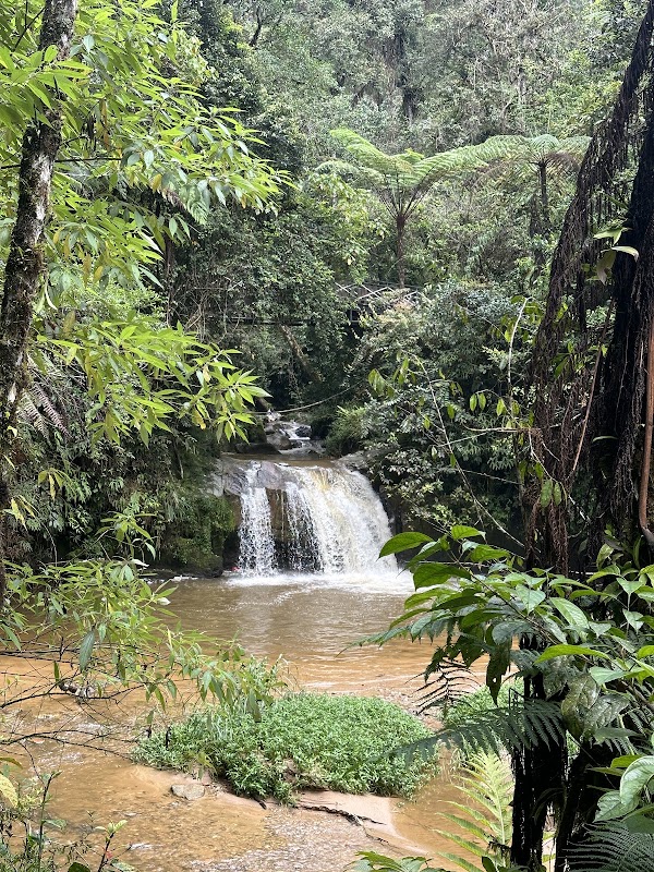 Chutes de Robinson – Tanah Rata, 39000 Tanah Rata, Pahang, Malaysia (photo 3)