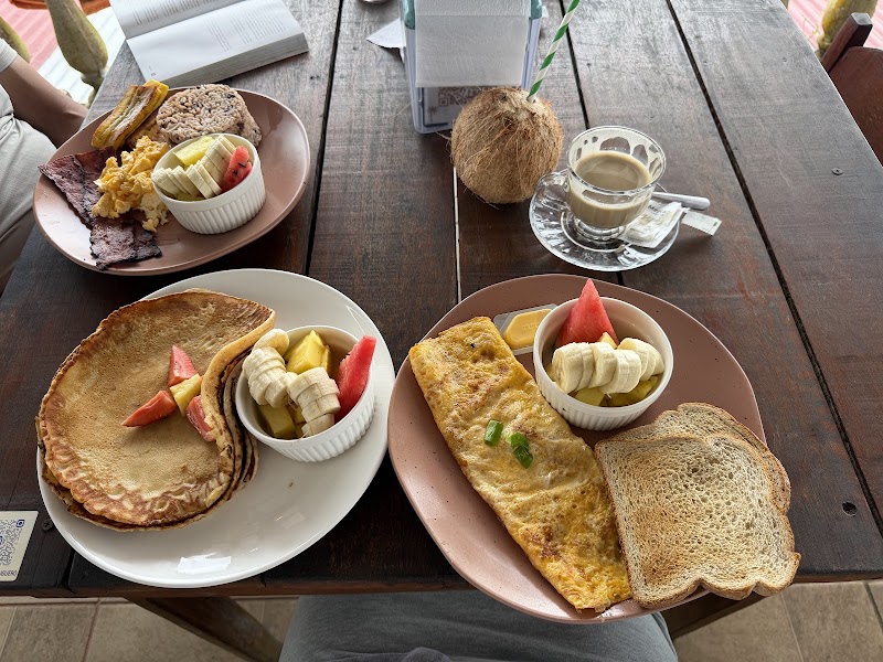 Coconut Milk – GFVW+9H7, Limón, Tortuguero, Costa Rica (photo 2)