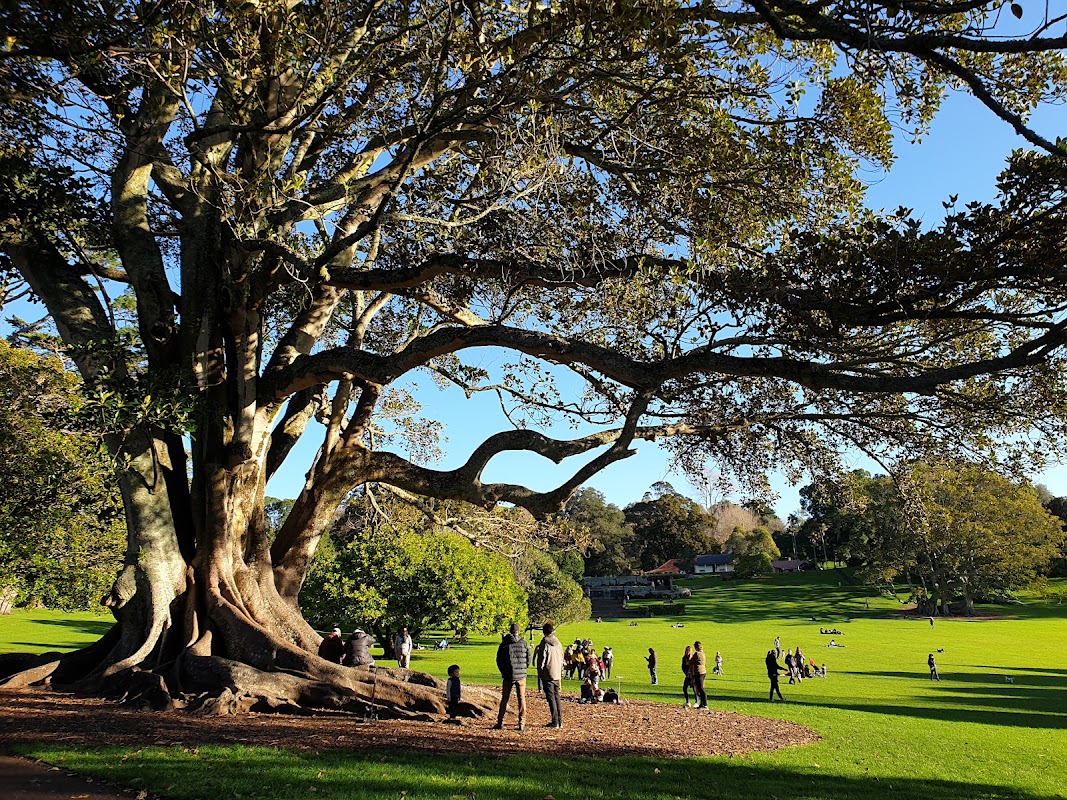 Cornwall Park et One Tree Hill – Cornwall Park, Auckland, Nouvelle-Zélande (photo 1)