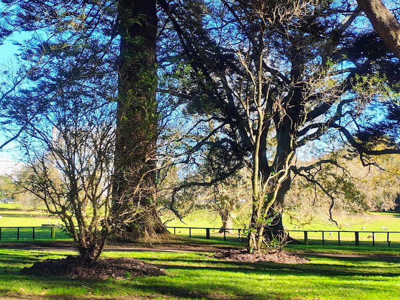 Cornwall Park et One Tree Hill – Cornwall Park, Auckland, Nouvelle-Zélande (photo 2)