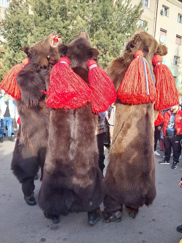 Danse de l'Ours de Comănești – Parcul Comănești, Comănești, Roumanie (photo 1)