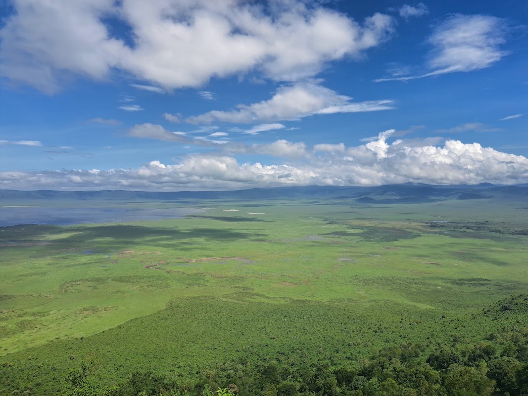 Descente et safari dans le cratère du Ngorongoro – Cratère du Ngorongoro, Tanzanie (photo 1)