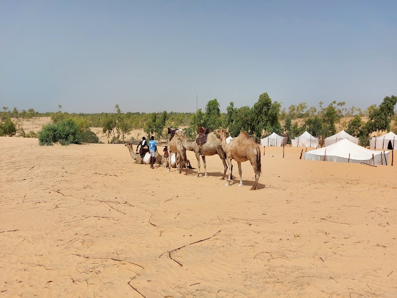 Dunes du désert de Lompoul – Désert de Lompoul, Sénégal (photo 2)