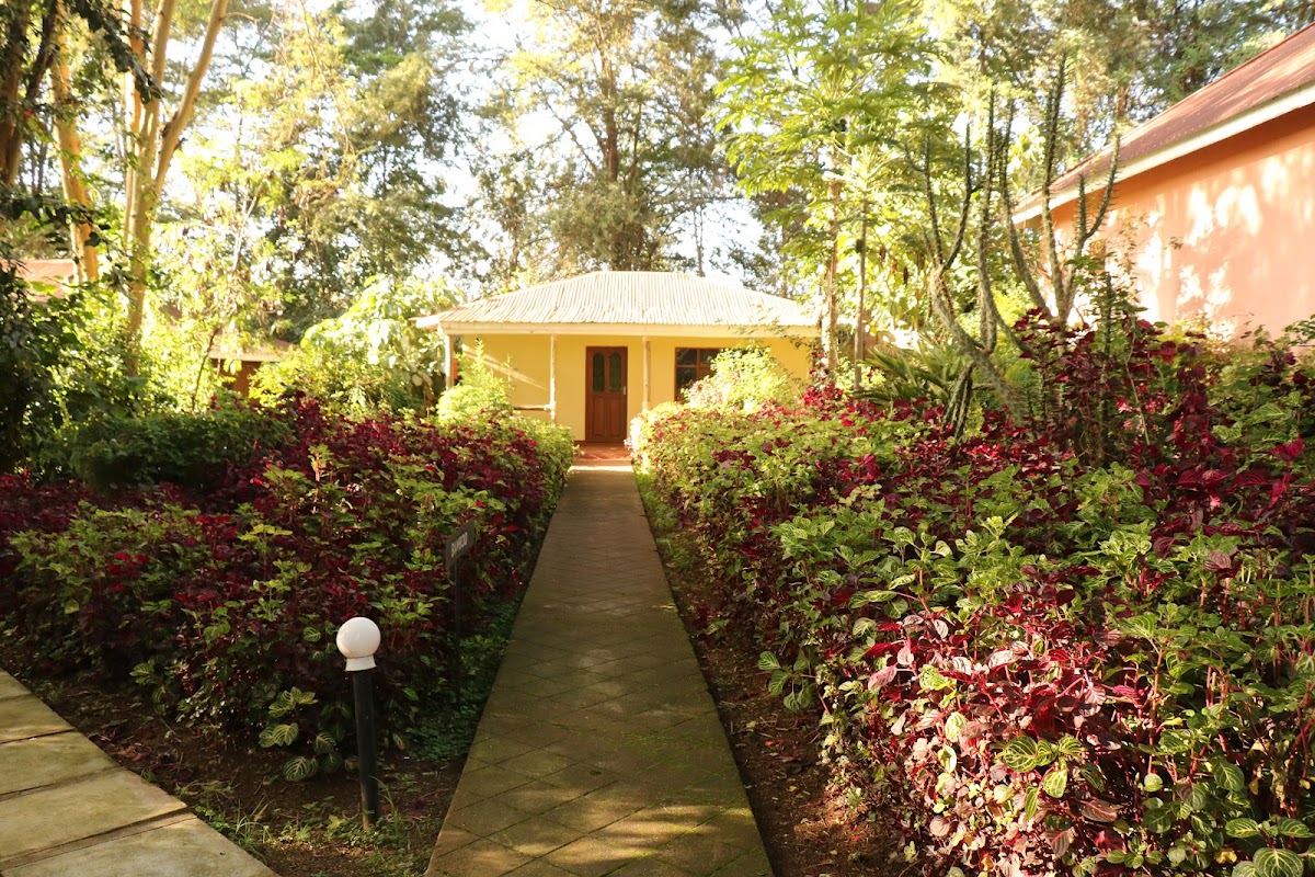 Eileen's Trees Inn – Eileen's Trees Inn, Karatu, Tanzanie (photo 1)