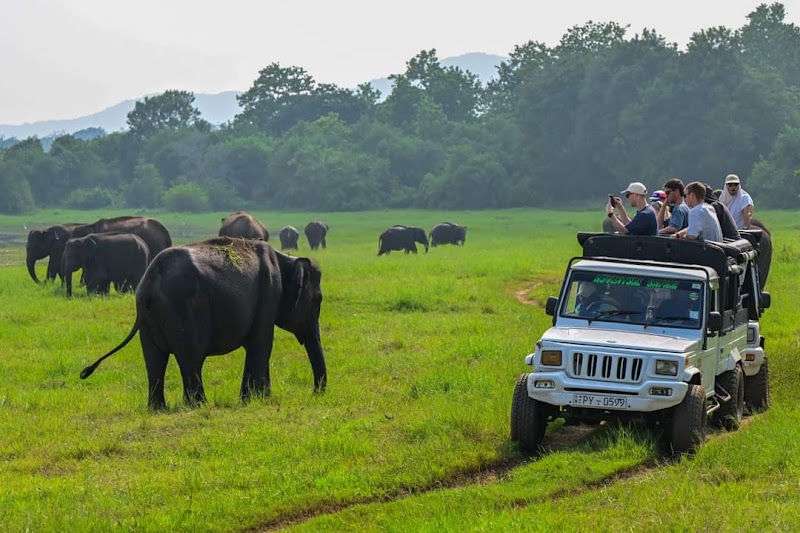 Entrée du parc national de Minneriya ou Kaudulla – Parc national de Minneriya ou Kaudulla, Sri Lanka (photo 2)