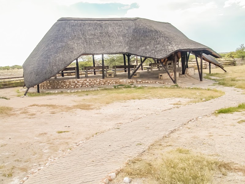 Etosha est : Klein Namutoni, plaines d'Andoni et Chudop – 5WVQ+7GW, Namutoni, Namibie (photo 2)