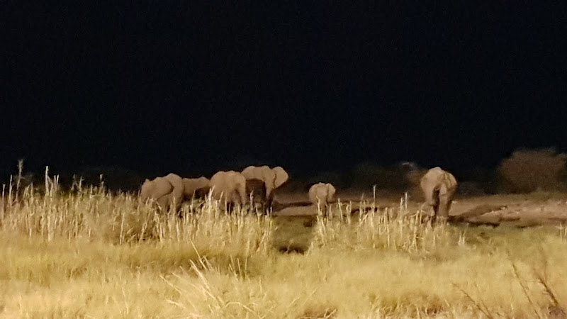 Etosha est : Klein Namutoni, plaines d'Andoni et Chudop – 5WVQ+7GW, Namutoni, Namibie (photo 3)