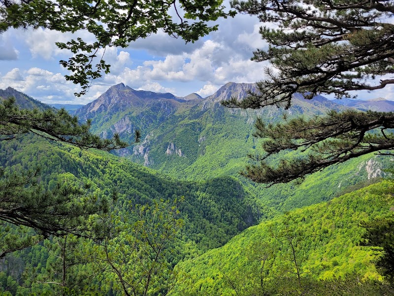 Forêt primaire de Perućica – Parc national de la Sutjeska, Bosnie-Herzégovine (photo 2)