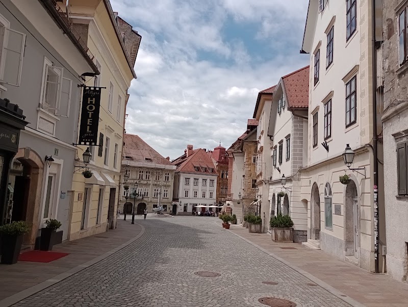 Gostilna Vida – Gornji trg 15, 1000 Ljubljana, Slovenia (photo 3)