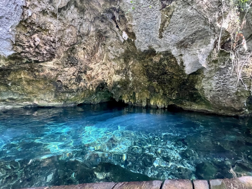 Gran Cenote – Carretera Tulum-Cobá, Tulum, Quintana Roo, Mexique (photo 1)