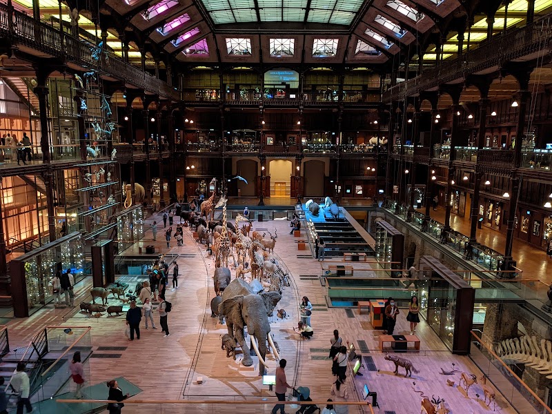 Grande Galerie de l'Évolution, Muséum national d'histoire naturelle – 36 Rue Geoffroy-Saint-Hilaire, 75005 Paris, France (photo 2)