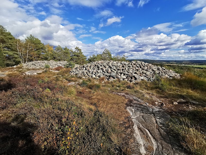 Gravures rupestres de Vitlycke (Tanum, UNESCO) – Kvillevägen, 457 93 Tanumshede, Suède (photo 2)