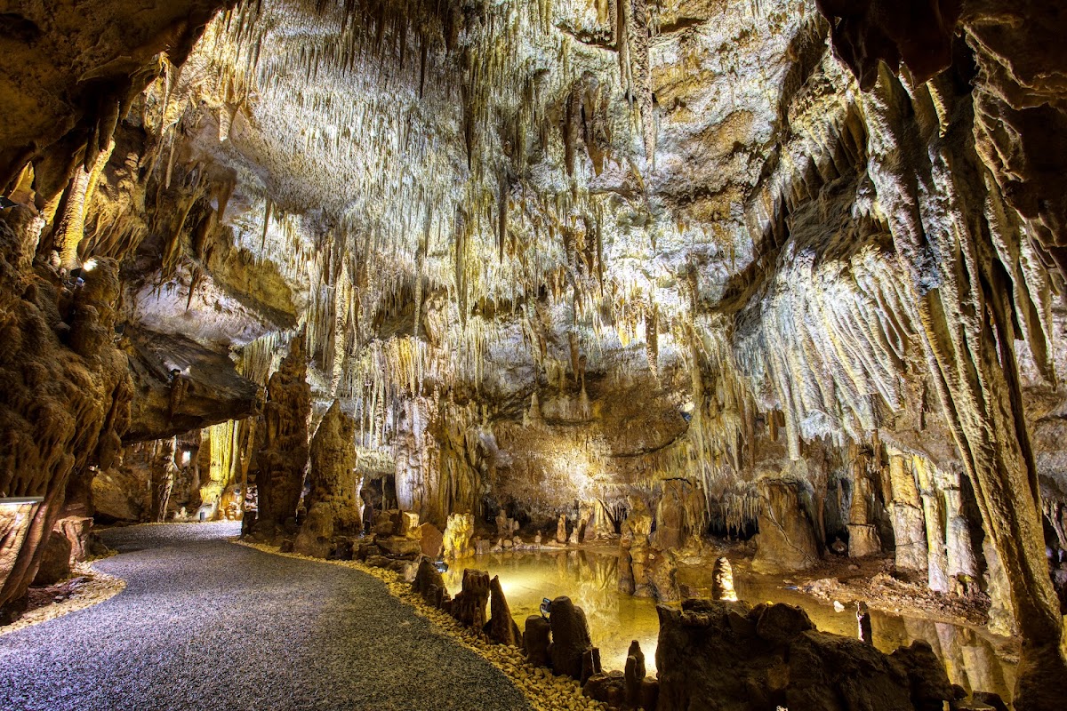 Grotte de Domme – Halle de Domme, 9 Pl. de la Halle, 24250 Domme, France (photo 1)