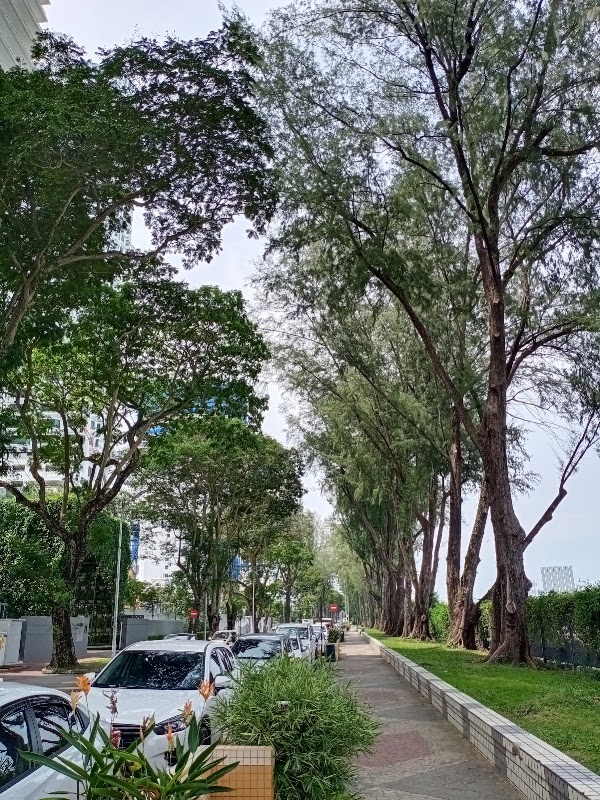 Gurney Drive – Gurney Drive, Pulau Tikus, Penang, Malaisie (photo 3)