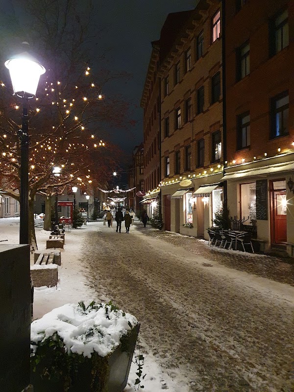 Haga Nygata et le quartier de Haga – Haga Nygata, Göteborg, Suède (photo 2)