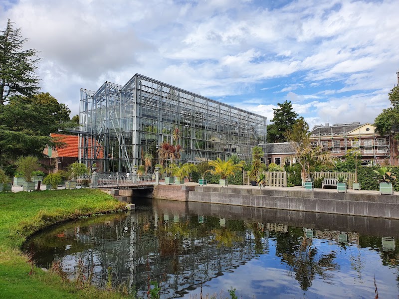 Hortus botanicus de Leyde – Rapenburg 73, 2311 WJ Leiden, Pays-Bas (photo 3)