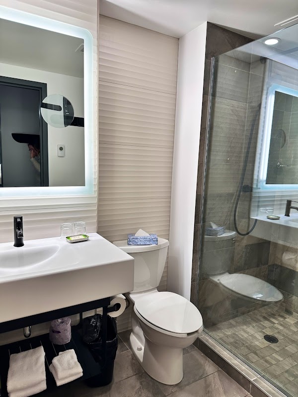 Hôtel Le Dauphin, Montréal Centre-Ville – 1025 rue De Bleury, Montréal, QC, Canada (photo 3)