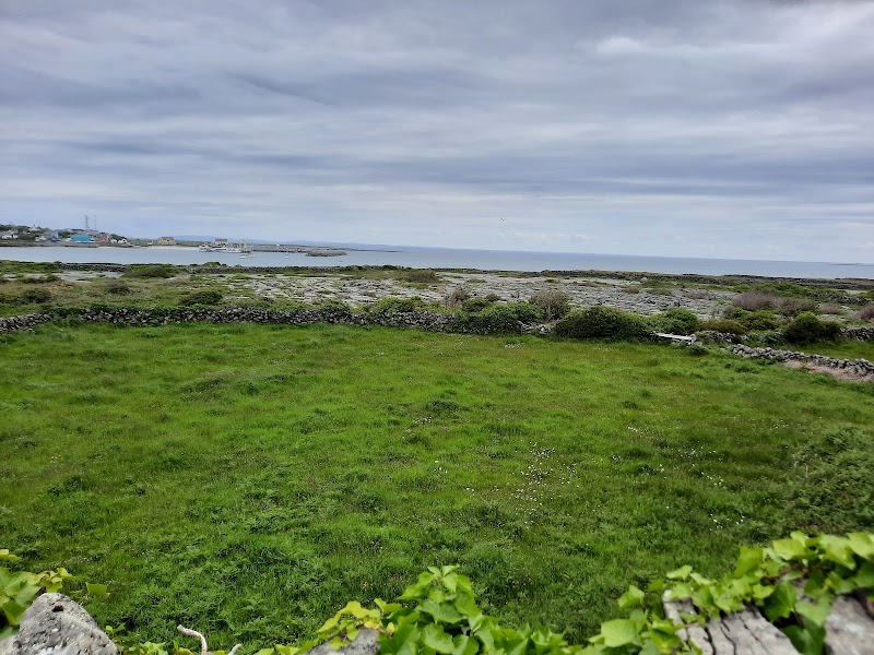 Inis Mór – Kilronan, Inis Mór, îles d'Aran, Irlande (photo 3)