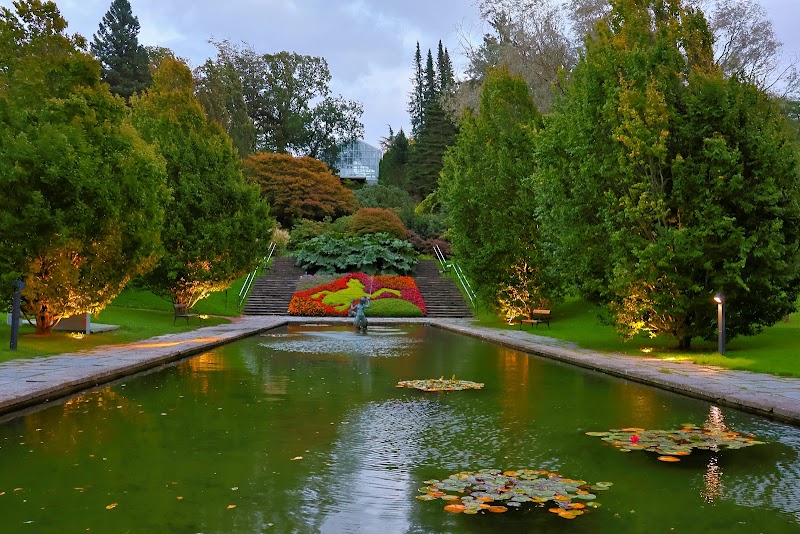 Jardin botanique de Göteborg – Carl Skottsbergs g 22A, 413 19 Göteborg, Suède (photo 2)